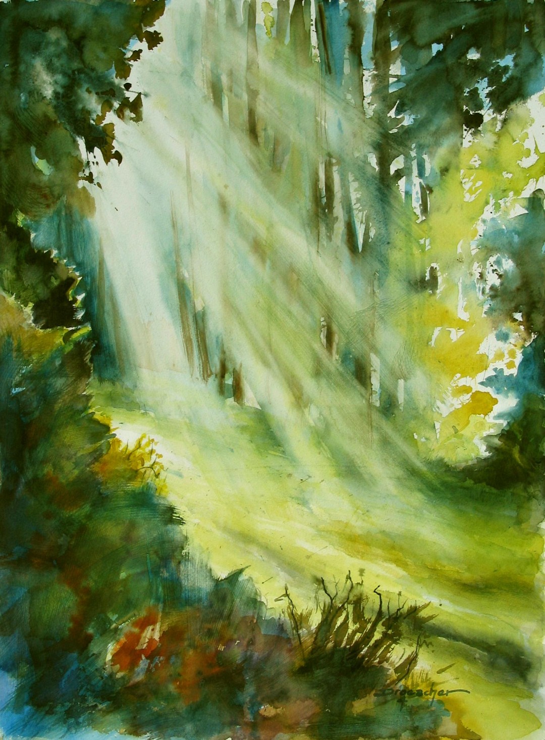 Sonnenlicht im Odenwald 2004 61x46.jpg