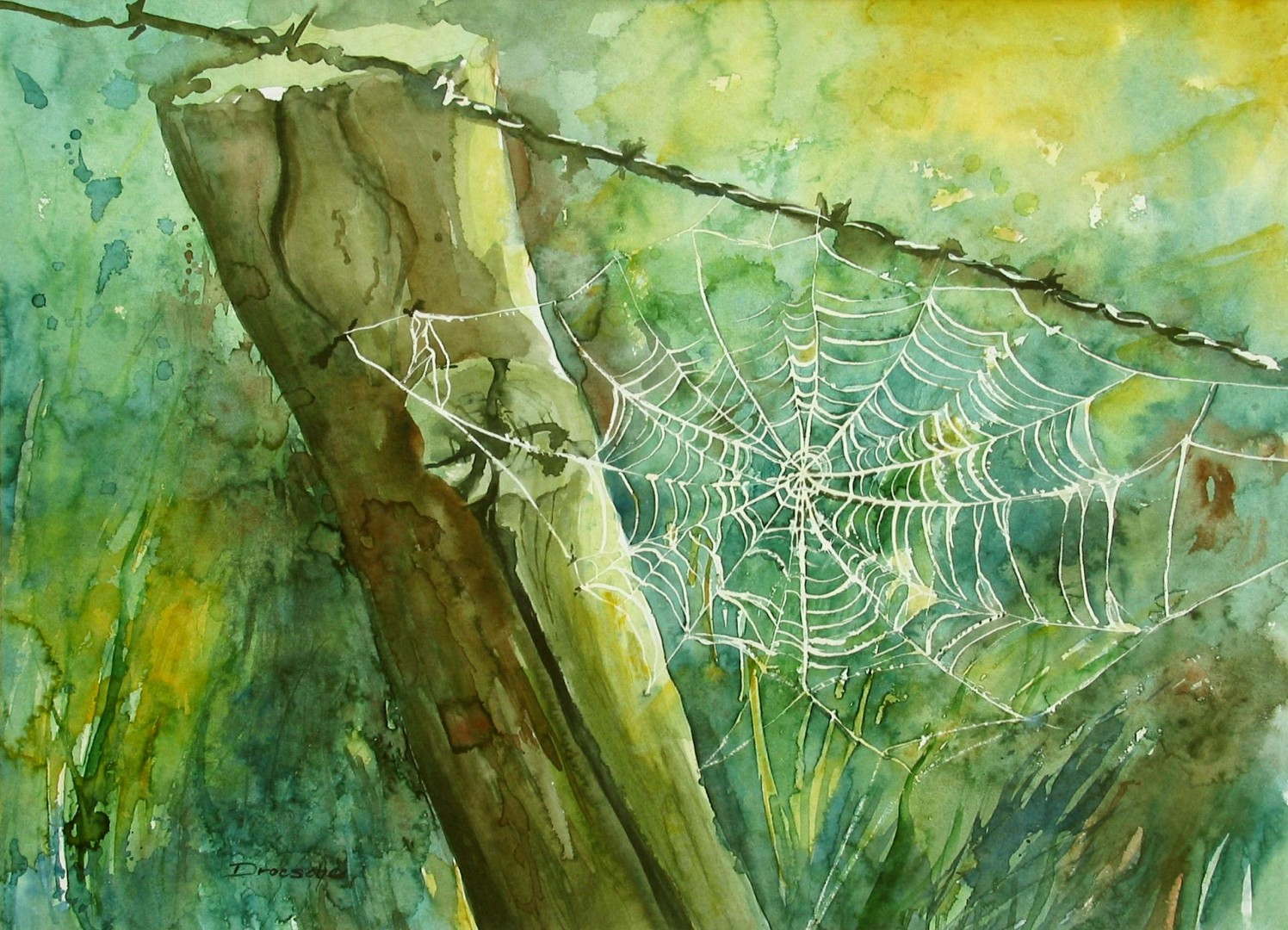 Spinnennetz 1994 36x48.jpg