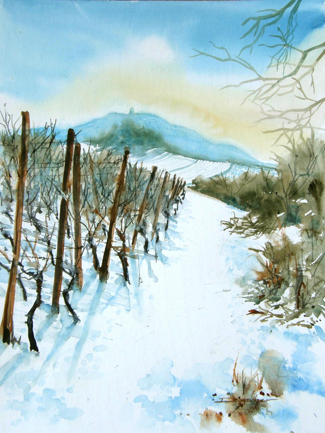 01 Januar 01 2010.jpg